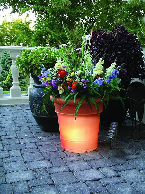 GardenGlo